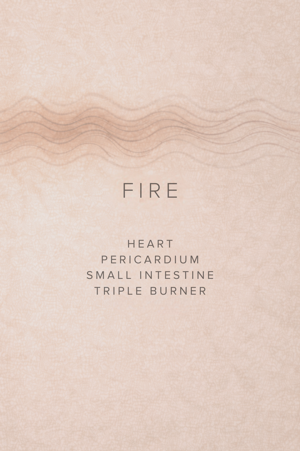 The Inner Landscape — The Essential Acupressure Companion (Digital Book)