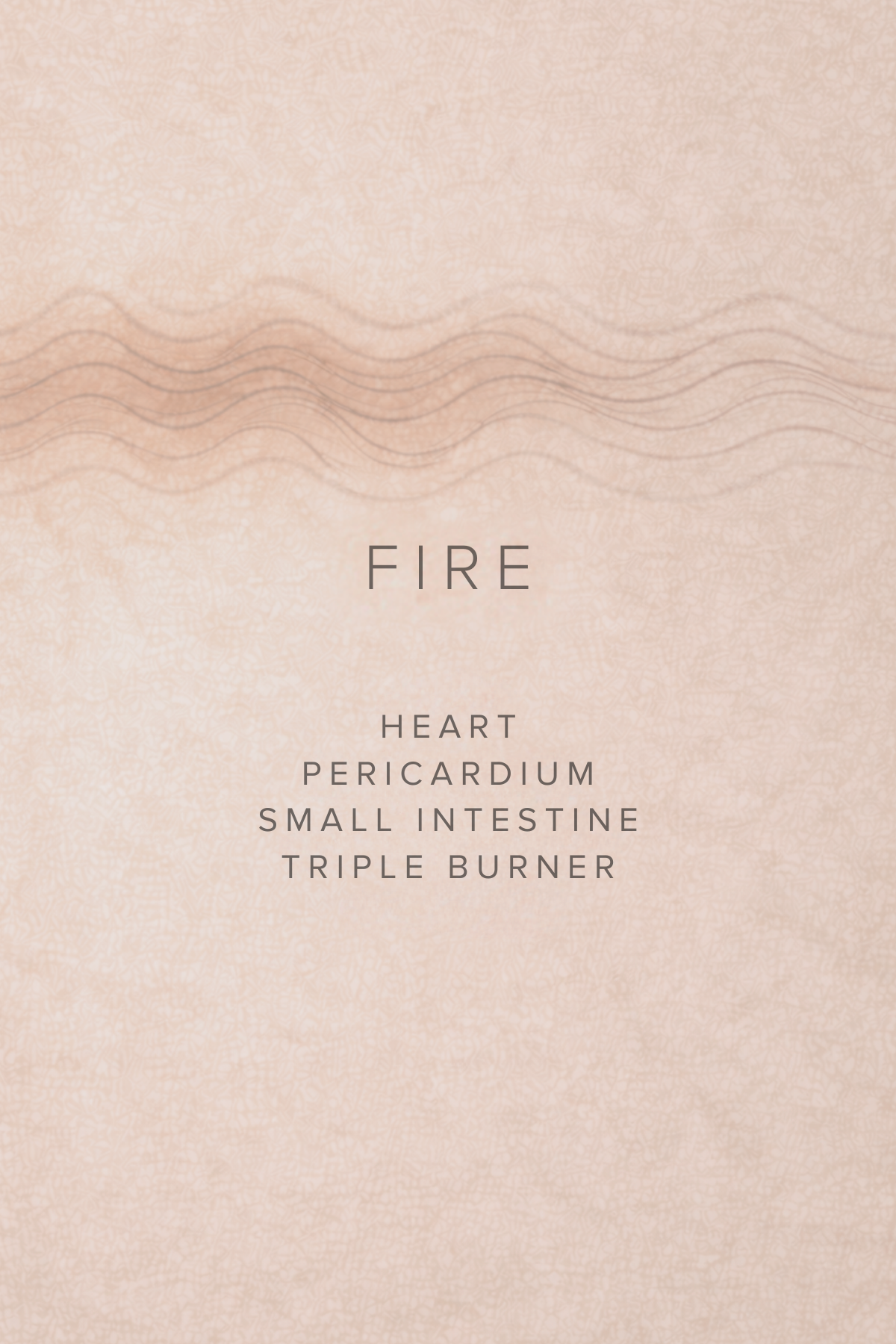 The Inner Landscape — The Essential Acupressure Companion (Digital Book)