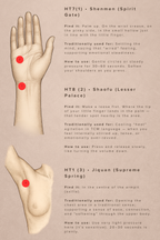 The Inner Landscape — The Essential Acupressure Companion (Digital Book)